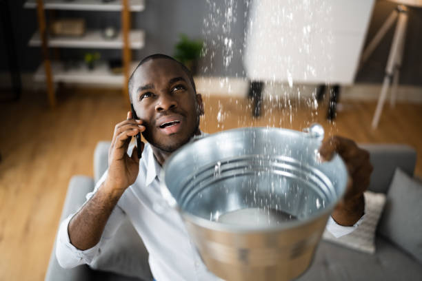 Best Water damage cleanup near me  in Perryopolis, PA