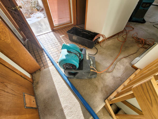 Best Mold removal after water damage  in Perryopolis, PA