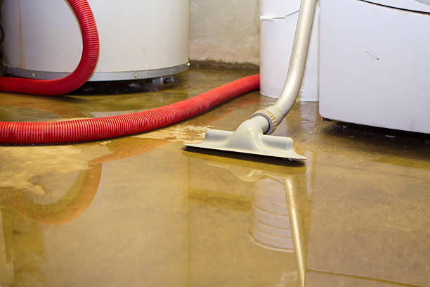 Best Sewage cleanup and water damage restoration  in Perryopolis, PA