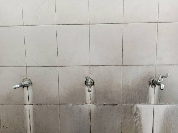  Perryopolis, PA Water damage restoration Pros