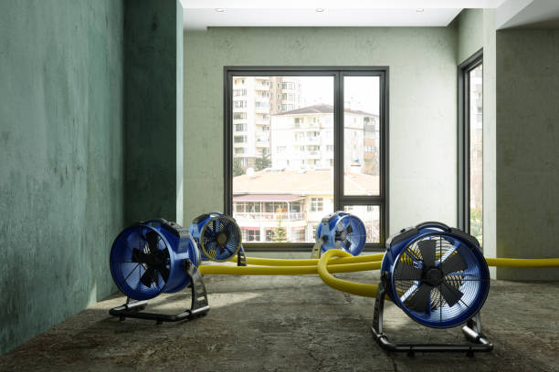 Best Water damage mitigation services  in Perryopolis, PA